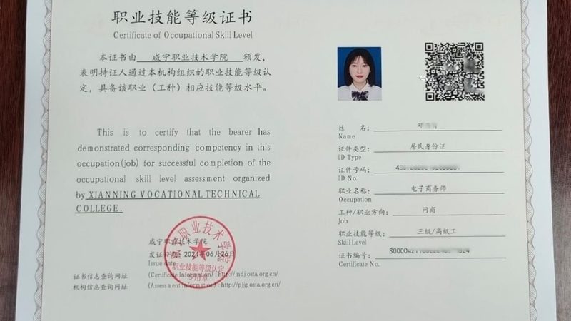 独立站SEO优化：揭秘搭建方案背后的关键要素