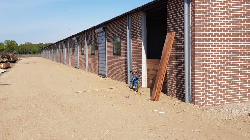 独立站搭建：技术费用构成解析与预算规划